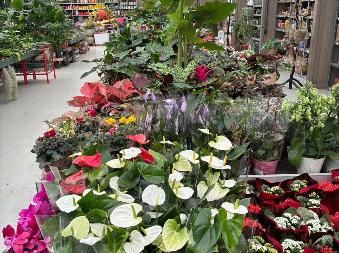 Dekatuin Heiloo-Heiloo必去景点