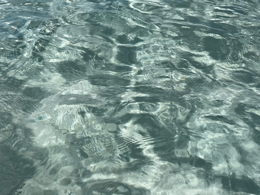 VIP Diving College-沙姆沙伊赫必去景点