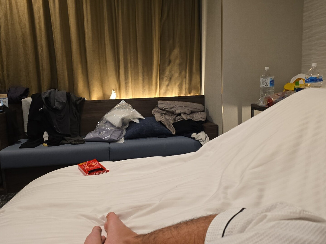 Sotetsu Grand Fresa Takadanobaba主图