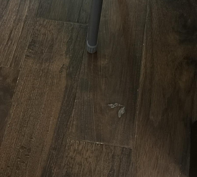 New Gudauri Aparthotel Chain主图