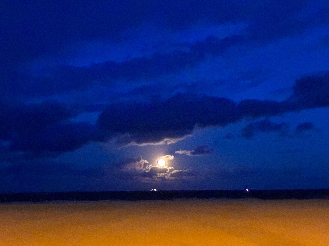 Plage d'Ostende-奥斯坦德必去景点