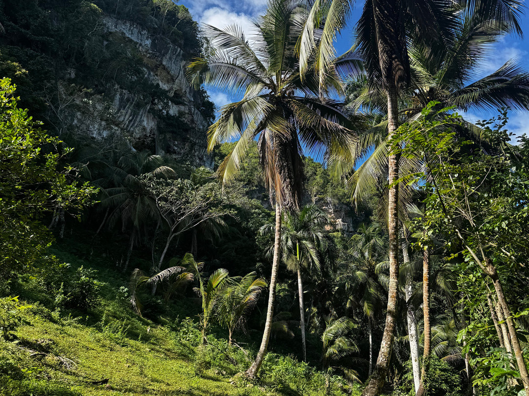 Booking Adventures-Sabana de la Mar必去景点