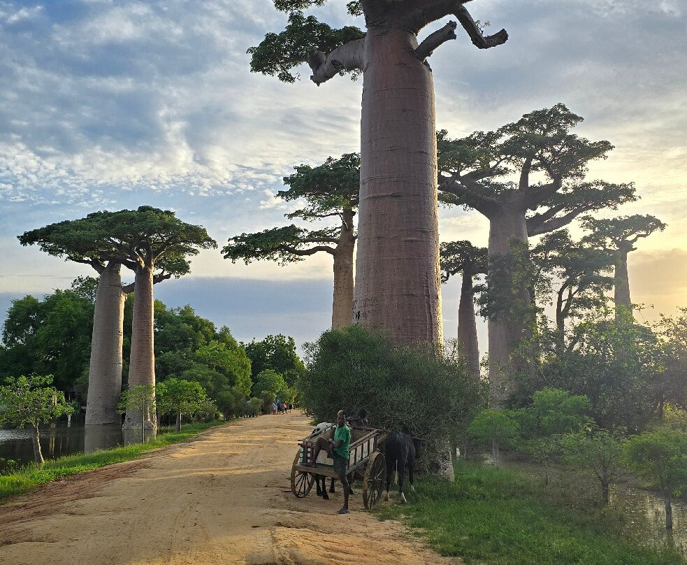 Soul of Madagascar Tours-Toamasina (Tamatave)必去景点