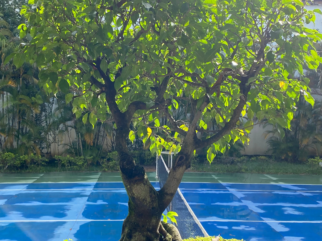 Hotel Boutique Villa Casuarinas主图