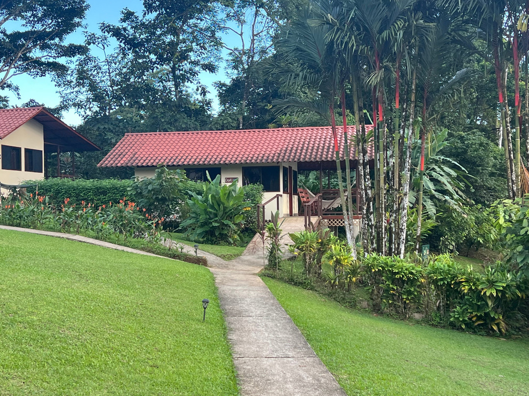 La Anita Rainforest Chocolate Tour-瓜纳卡斯特自然保护区必去景点