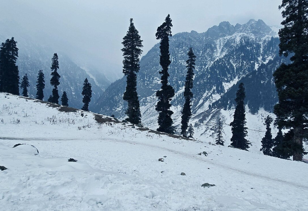 Stay and Trips-Chinsurah必去景点