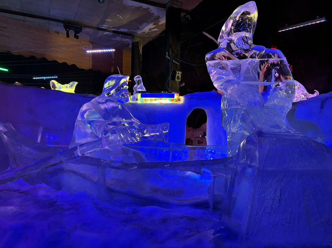 Magic Ice Lofoten-斯沃尔韦尔必去景点