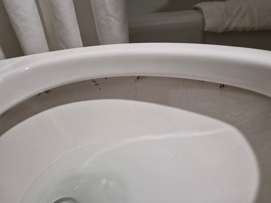 Wingate by Wyndham South Bend/Notre Dame主图