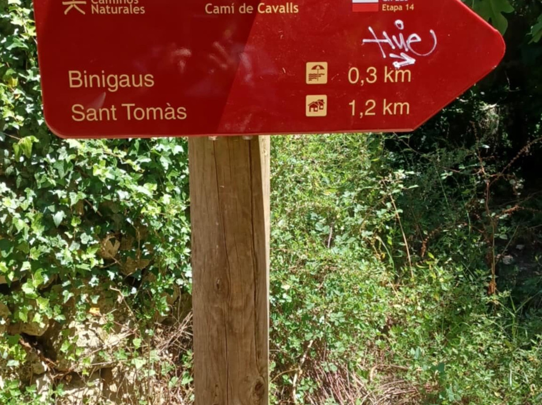 Cami de Cavalls-Mahon必去景点