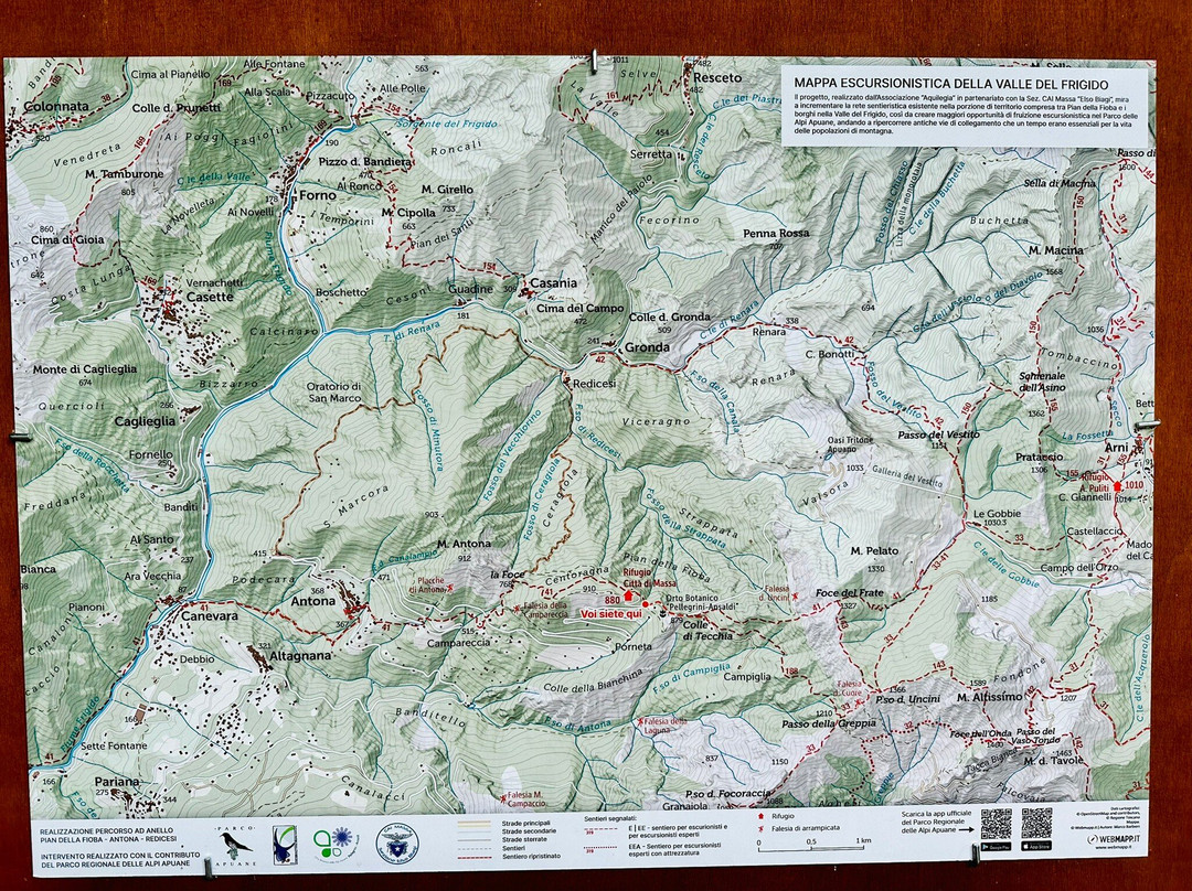 Orto Botanico Pellegrini - Ansaldi-马萨必去景点