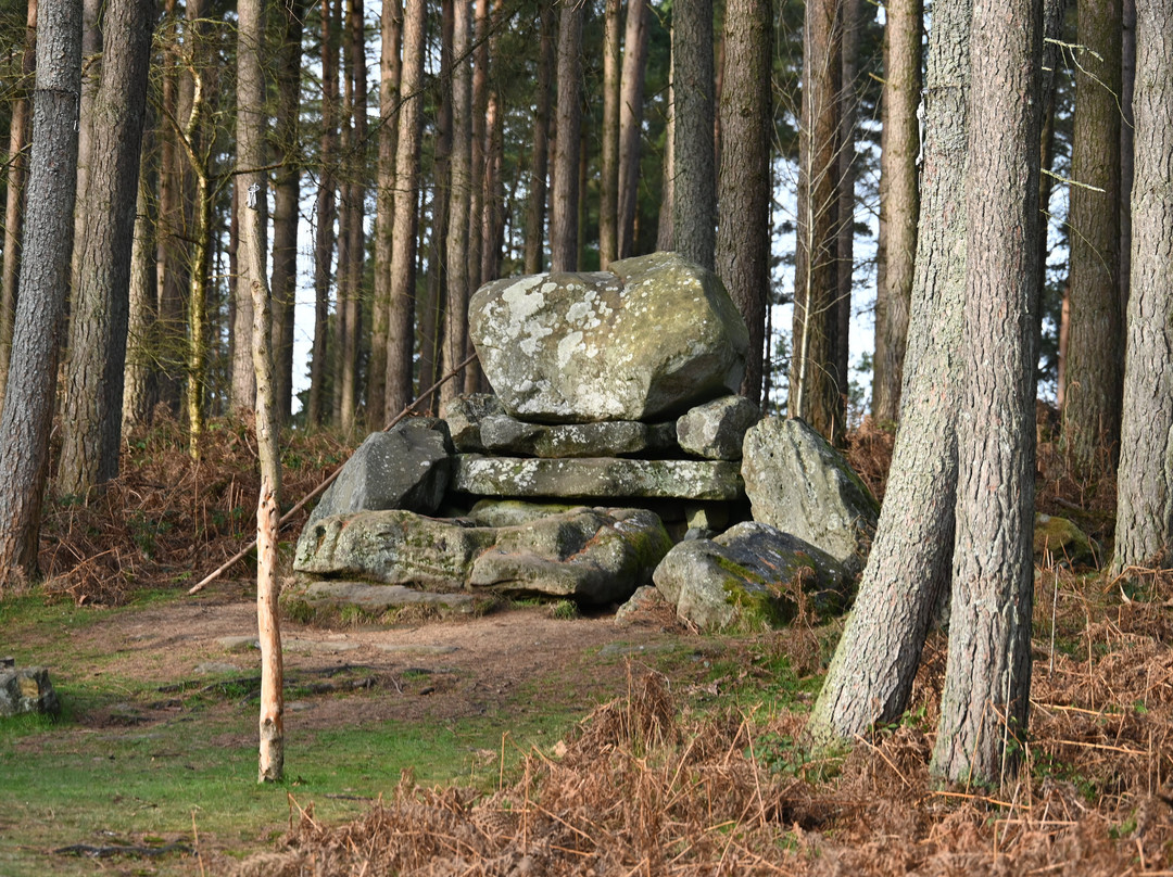 Druids Temple-里彭必去景点