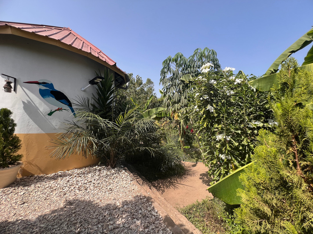 Senegambia Birding-Mandinari必去景点