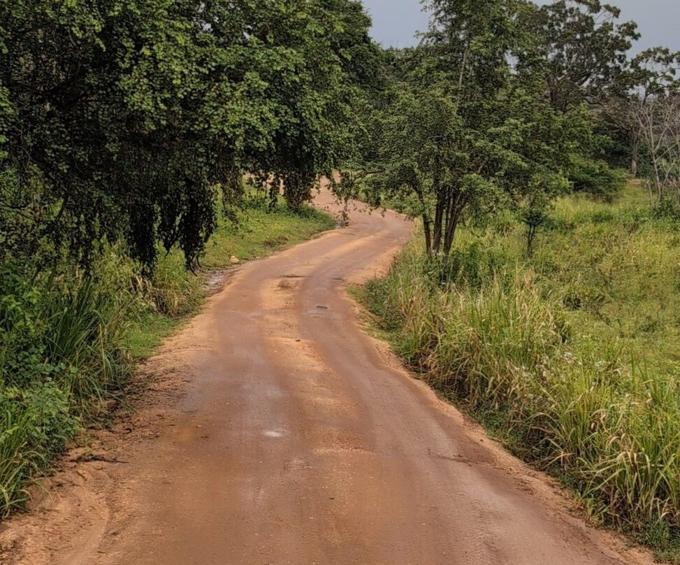 Minneriya Nimal Safari-哈巴拉娜必去景点