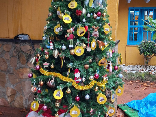 Selwo Marina-班纳玛德纳必去景点