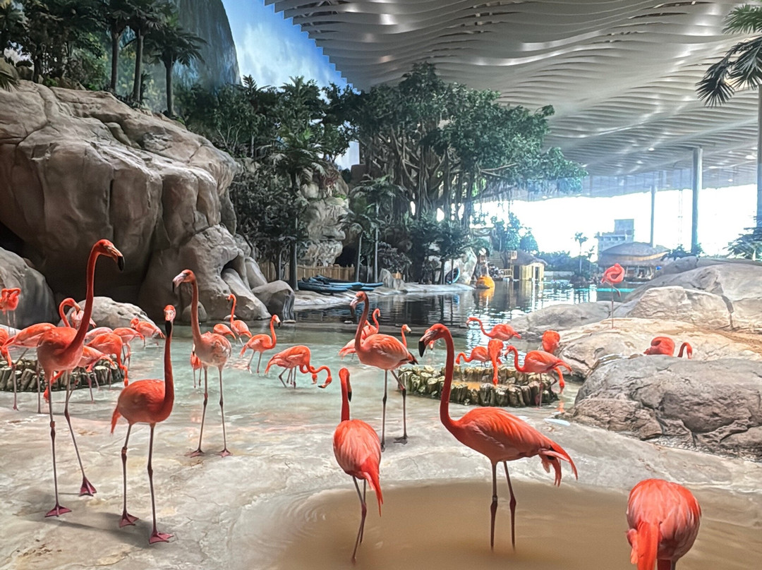 SeaWorld Yas Island Abu Dhabi-阿布扎比必去景点