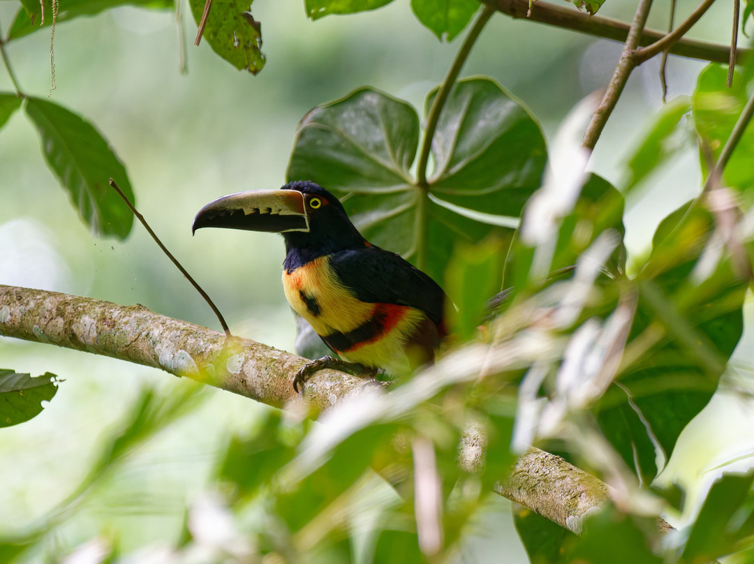 La Kukula Lodge主图