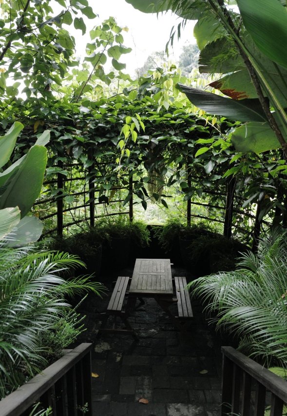 Cicada Resort Bali Ubud, Autograph Collection-官方