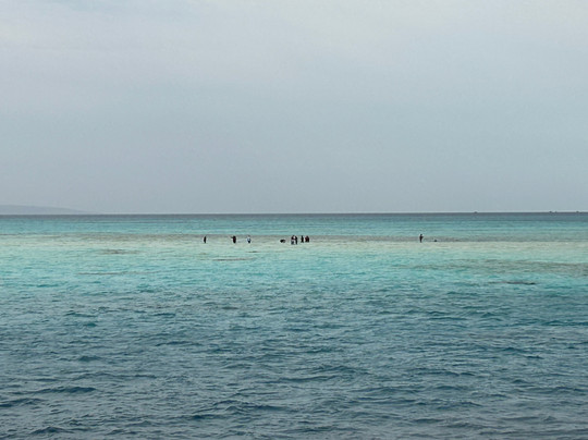 Cinderella Eldawley - Diving Center-沙姆沙伊赫必去景点