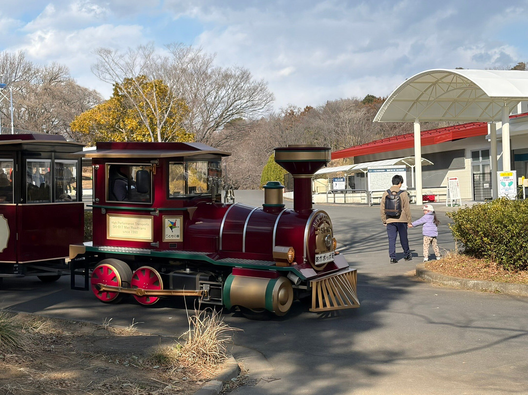 Kodomo-no-Kuni-横滨市必去景点