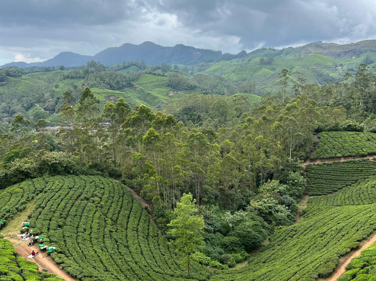 Munnar Hiking Trails-慕那尔必去景点