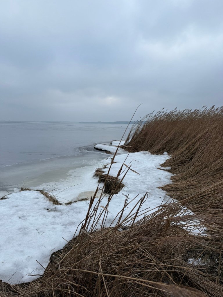 Fuglsang Mannor-官方