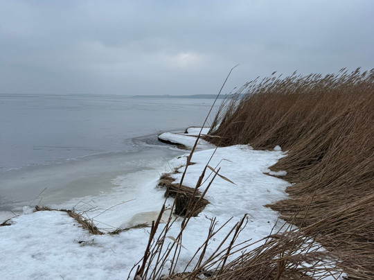 Fuglsang Mannor主图