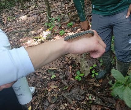 Parque Nacional Yasuni-Coca必去景点