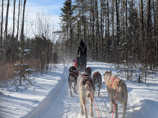 Chilly Dogs Sled Dog Trips-伊利必去景点
