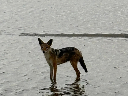 Walvis Bay Waterfront-华维斯湾必去景点