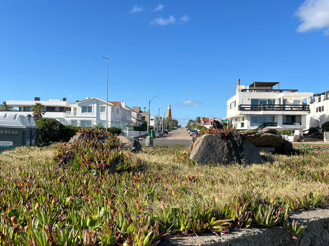 Rambla General Jose Artigas-埃斯特角城必去景点