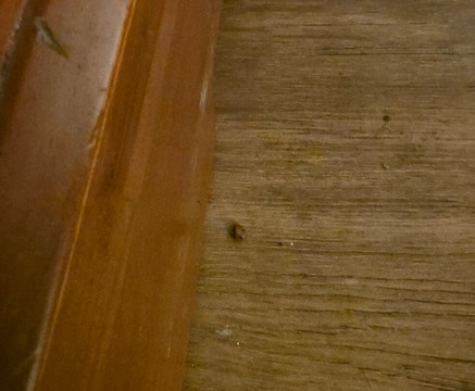 Ramada by Wyndham State College Hotel & Conference Center主图