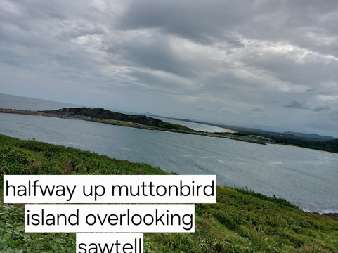 Coffs Harbour Muttonbird Island-科夫斯港必去景点