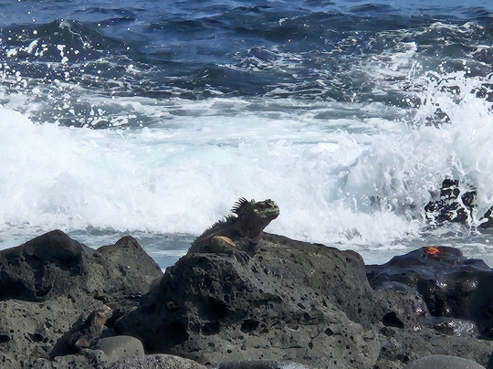 Eco-Challenger Galapagos Tour Agency-圣克里斯托瓦尔必去景点