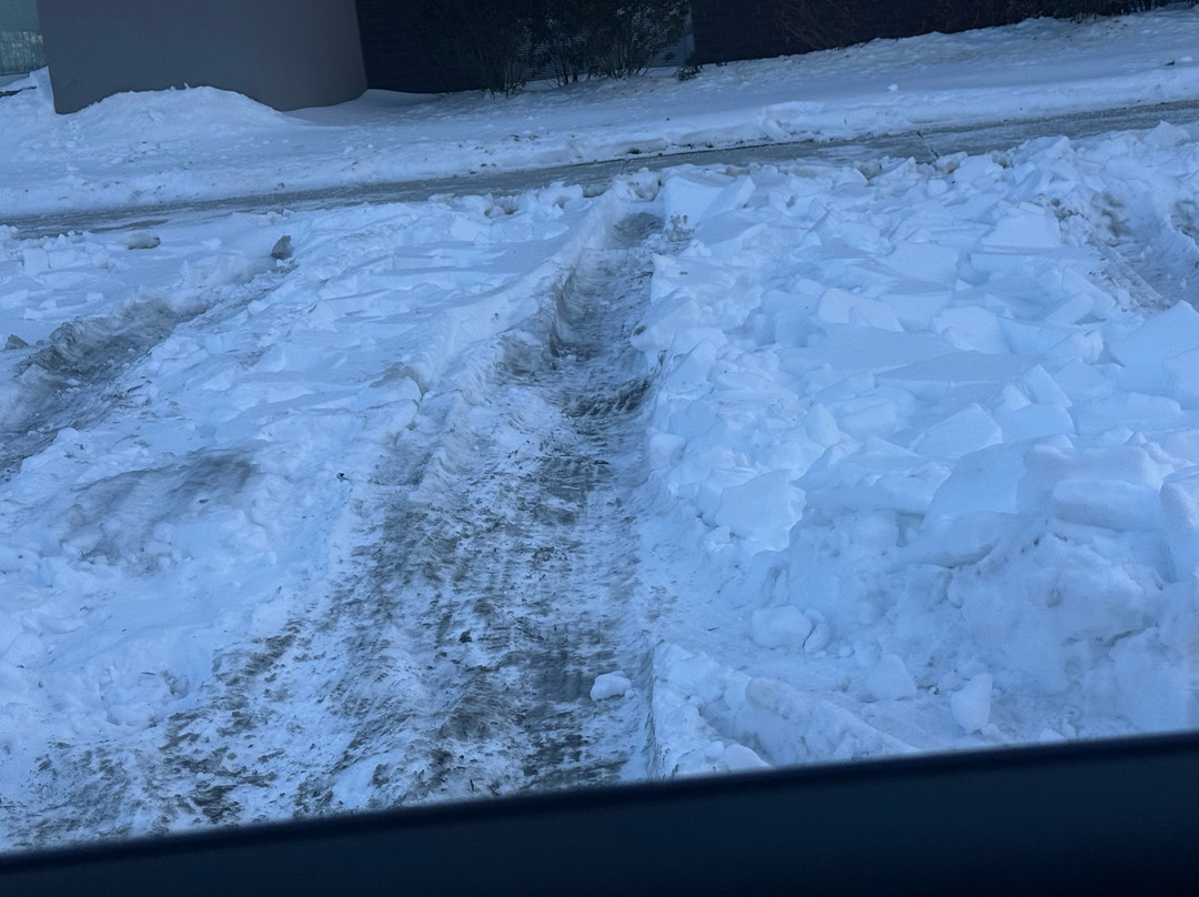 希尔顿奥因斯米尔斯家2套房主图