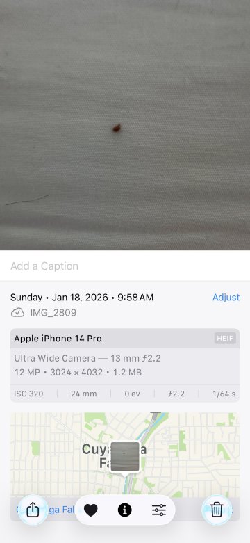 阿克伦凯霍加瀑布喜来登套房酒店-客卧