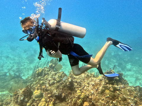 Ultra Marine Divers-蓬塔卡纳必去景点