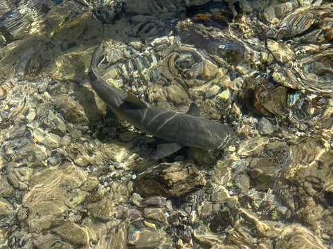 Explore Cape Verde-圣塔玛丽亚必去景点