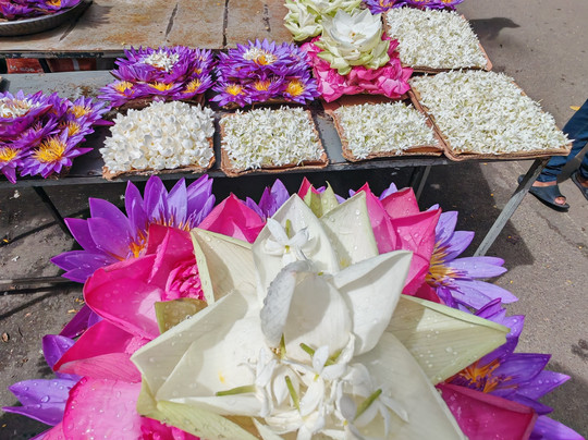 Zion Lanka Tours-Katana必去景点