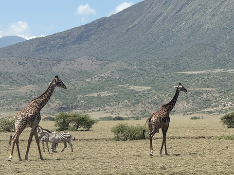 Marafiki Safaris & Cultural Tours-巴加莫约必去景点