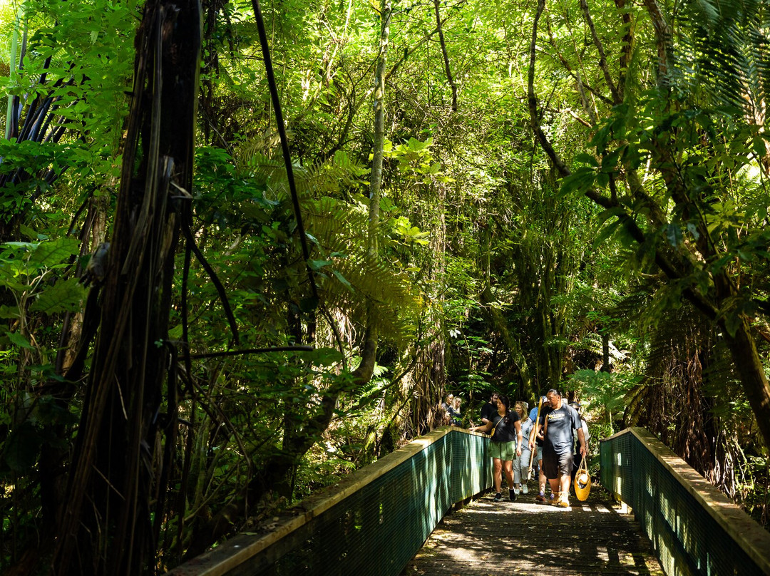 Sanctuary Mountain Maungatautari-Pukeatua必去景点