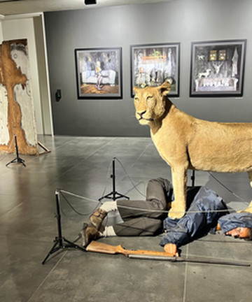 Roger Ballen Centre for Photography景点门票图片