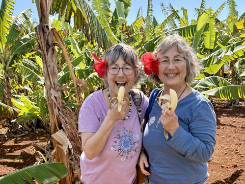 Eleuthera Pineapple Farm Tours-伊柳塞拉必去景点