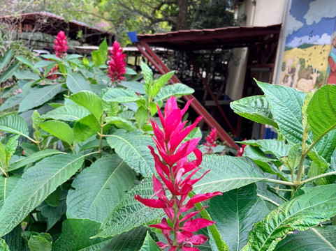 Hacienda La Chimba-圣安娜必去景点