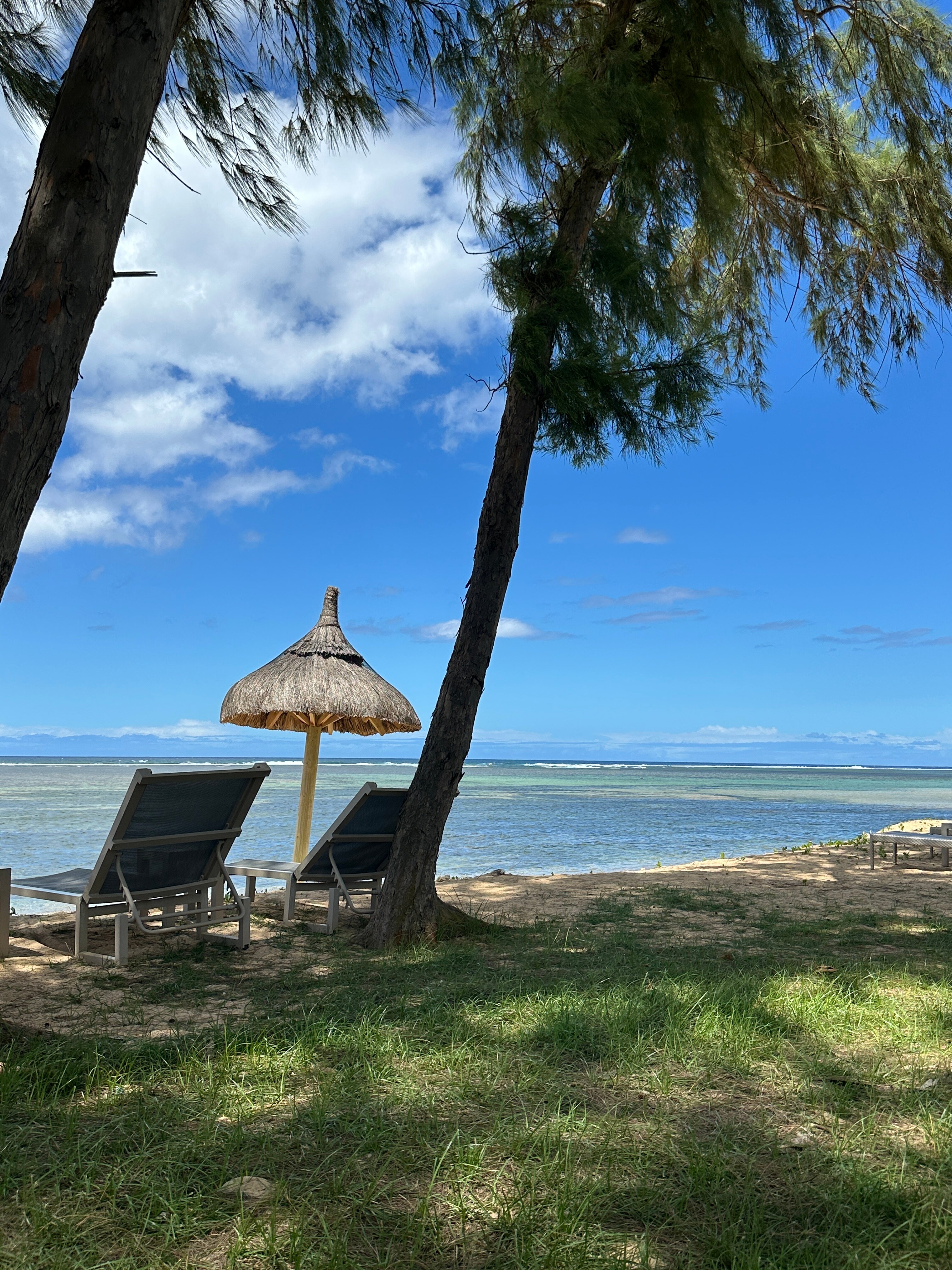 毛里求斯索菲特特色酒店-官方