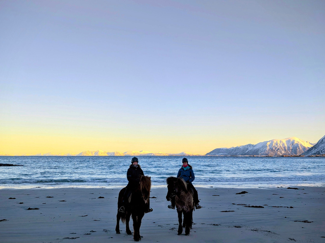 Hov Gård-Gimsoya必去景点