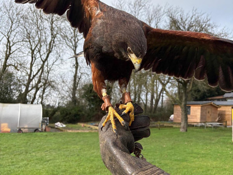 Rutland Outdoor Pursuits-Cottesmore必去景点