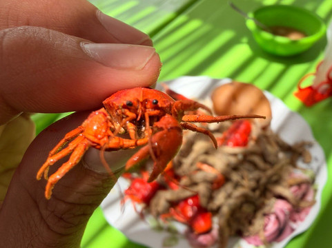 Lago San Jacinto-塔里哈必去景点
