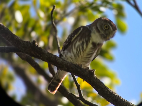 Hacienda El Roble & Adventure Center-圣塔克鲁斯必去景点