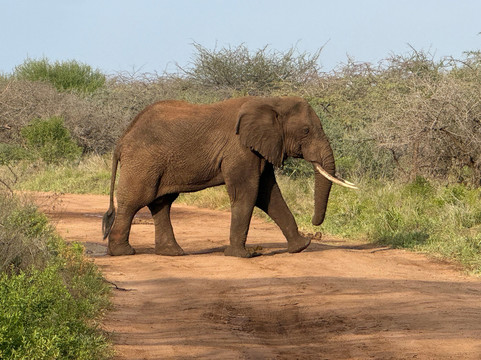 Momella African Adventure-阿鲁沙必去景点