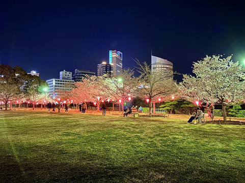 玉藻公园-高松市必去景点